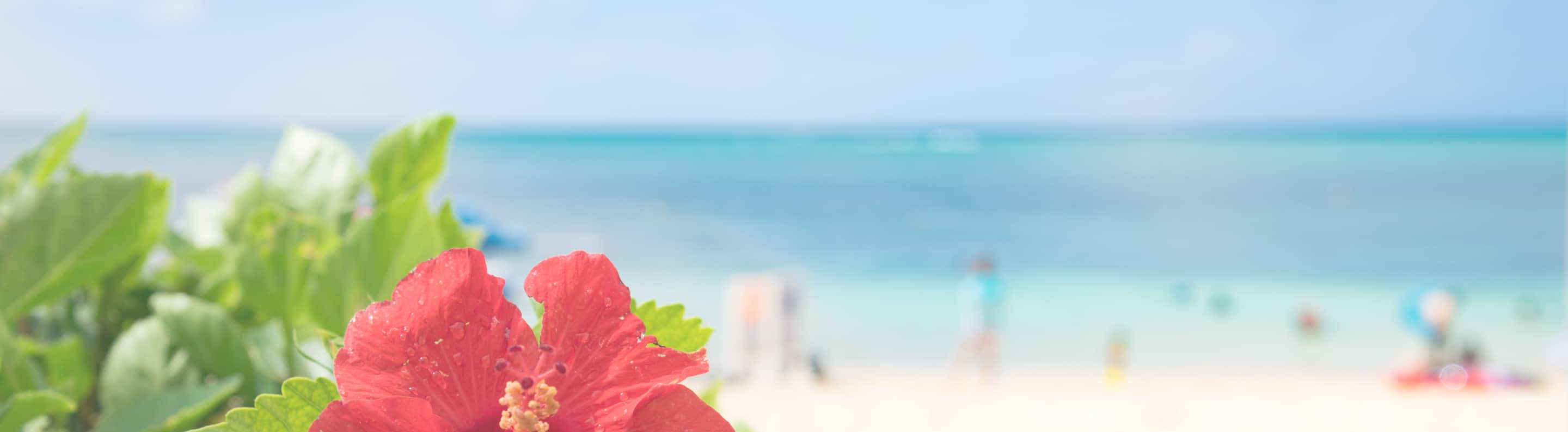 メインビジュアル